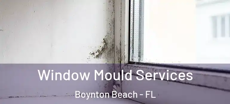  Window Mould Services Boynton Beach - FL